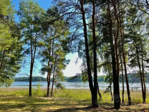 Участок в Ивановская область, Юрьевецкий район, Михайловское с/пос, д. ...