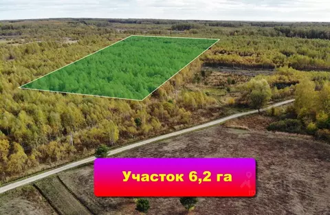 Участок в Тульская область, Заокский район, Страховское с/пос, д. ...