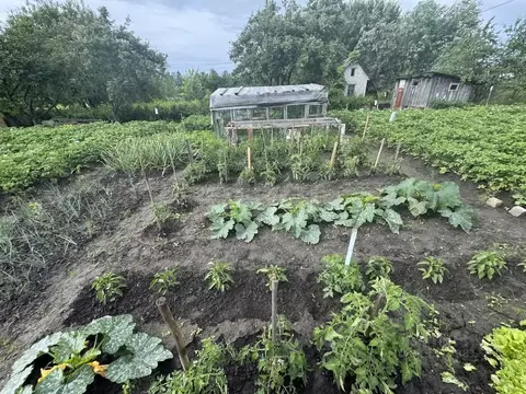 Участок в Брянская область, Брянский район, Добрунское с/пос, д. ...