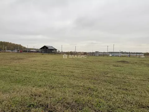 Участок в Владимирская область, Собинский муниципальный округ, Новое ...