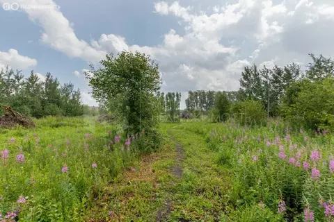 Участок в Тюмень, жилой квартал Зелёные Аллеи (6.8 м)