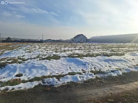 Участок в Искитимский район, Мичуринский сельсовет, СНТ Агролес (10 м)