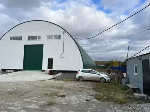 Помещение свободного назначения в Свердловская область, Белоярский ...