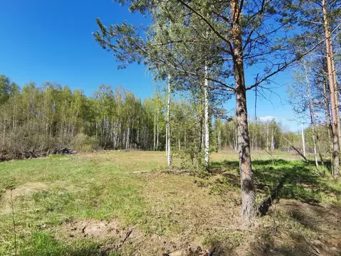 Участок в Ивановская область, Ивановский район, с. Ново-Талицы  (12.0 ...