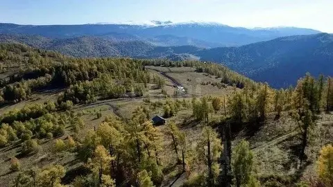 Участок в Алтай, Чемальский район, Элекмонарское с/пос, Седьмое Небо ...