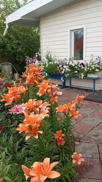 Дом в Омская область, Таврическое рп ул. Первомайская, 8 (118 м)