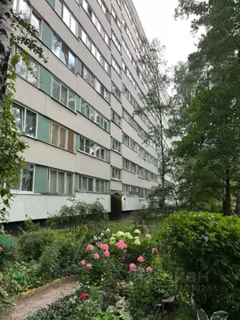 1-к кв. Санкт-Петербург ул. Демьяна Бедного, 30к1 (30.6 м)