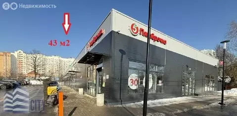 Помещение свободного назначения (43 м)