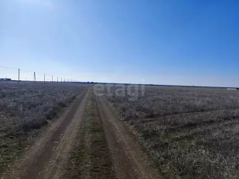 Участок в Крым, Сакский район, Молочненское с/пос, с. Витино  (7.18 ...