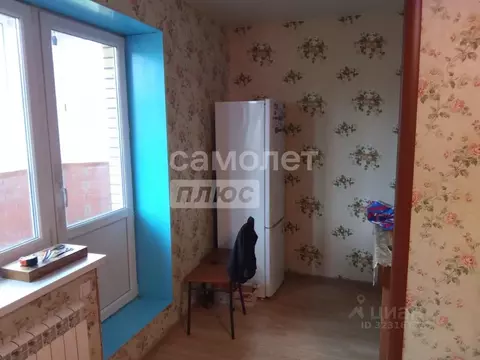 Студия Московская область, Лосино-Петровский городской округ, ...