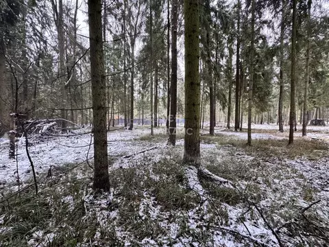 Участок в Московская область, Пушкинский городской округ, д. Могильцы, ...