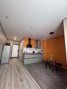 Студия Башкортостан, Уфа ул. Акварельная, 4 (24.7 м)