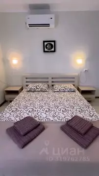 Комната Крым, Феодосия муниципальный округ, Орджоникидзе пгт, Труд-1 ...