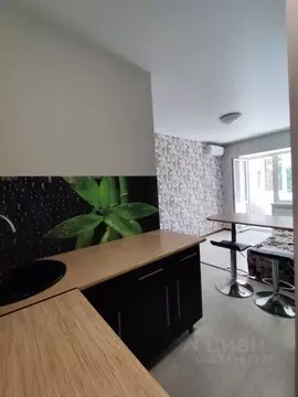 Студия Ростовская область, Ростов-на-Дону Кузнечная ул., 115 (25.0 м)