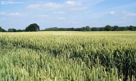 Участок в Владиславовка, Виноградная улица (19 м)
