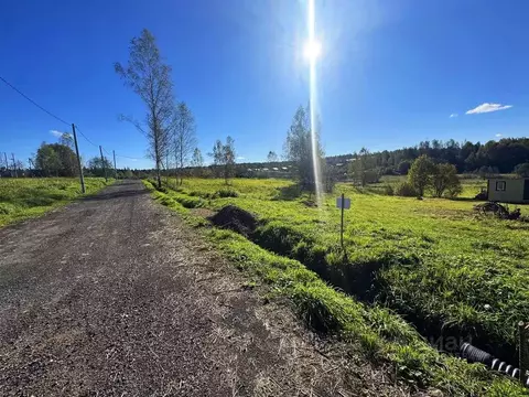 Участок в Московская область, Дмитровский муниципальный округ, Форест ...