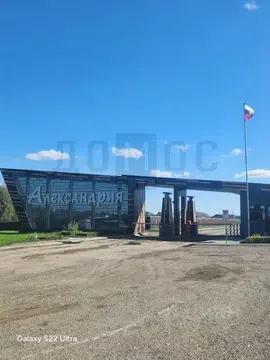 Участок в Свердловская область, Белоярский муниципальный округ, ...