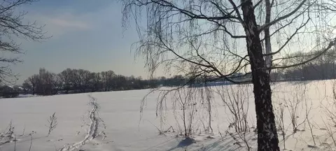 Участок в Московская область, Щелково  (6.0 сот.)