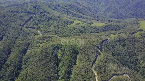 Участок в Алтайский край, Смоленский район, с. Сычевка  (800.9 сот.)