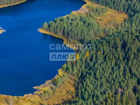 Участок в Ленинградская область, Выборгский район, Первомайское с/пос, ...
