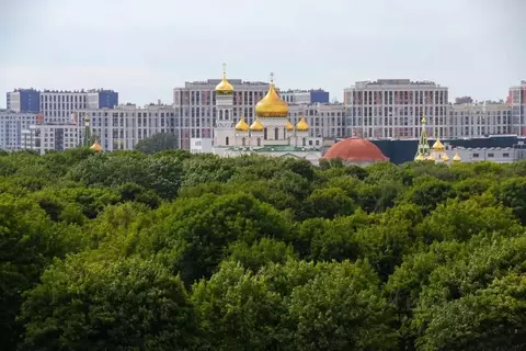 Студия Санкт-Петербург Черниговская ул., 17 (24.6 м)