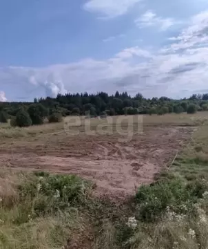 Участок в Вологодская область, Шекснинский муниципальный округ, с. ...