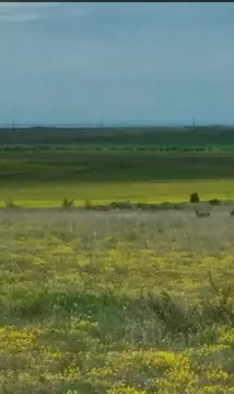 Участок в Крым, Бахчисарайский район, Каштановское с/пос, Крымские ...