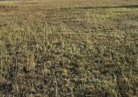 Участок в Саха (Якутия), Якутск проезд Ромашковый, 7 (10.0 сот.)