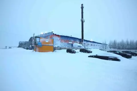 Склад в Ямало-Ненецкий АО, Новый Уренгой проезд 2-й, с3/3 (8001 м)