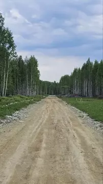 Участок в Челябинская область, Аргаяшский муниципальный округ, пос. ...