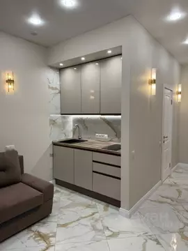 Студия Москва ул. Лобановский Лес, 13 (24.0 м)