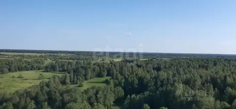 Участок в Ленинградская область, Кировский район, Мгинское городское ...