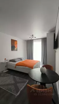 Студия Санкт-Петербург ул. Ультрамариновая, 5 (24.0 м)