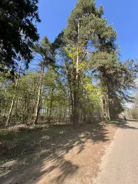 Участок в Московская область, Пушкинский городской округ, с. Тарасовка ...