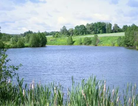 Участок в Тульская область, Ясногорский район, Иваньковское с/пос, д. ...