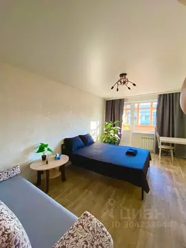 1-к кв. Нижегородская область, Заволжье г. Городецкий муниципальный ...