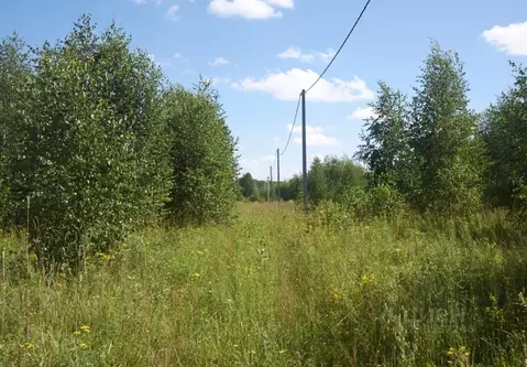 Участок в Ярославская область, Некрасовский муниципальный округ, д. ...