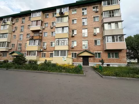 2-комнатная квартира: Арсеньев, Садовая улица, 11 (42.1 м)