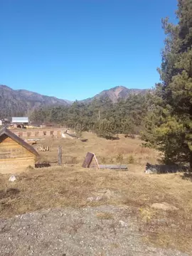 Участок в Алтай, Чемальский район, пос. Усть-Сема  (8.0 сот.)