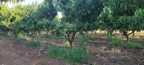 Участок в Крым, Кировский район, Журавское с/пос, с. Тутовка ул. Яшлык ...