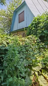 Дом в Пензенская область, Пенза Весна СНТ, 90 (60 м)