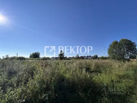 Участок в Костромская область, Костромской район, Шунгенское с/пос, д. ...