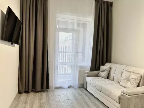 Студия Санкт-Петербург аллея Арцеуловская, 9 (30.0 м)