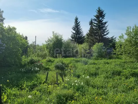 Участок в Тюменская область, Ялуторовский муниципальный округ, Поле ...
