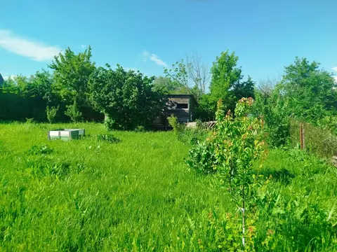 Участок в Ростовская область, Азовский район, Елизаветинское с/пос, ...