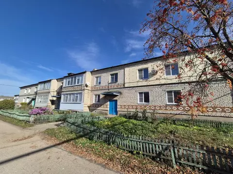 1-к кв. Нижегородская область, Перевоз 2-й мкр, 11 (33.0 м)