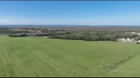 Участок в Алтайский край, Первомайский район, с. Фирсово, Рощино мкр ...