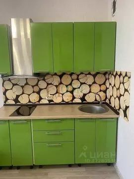 Студия Новосибирская область, Новосибирск ул. Петухова, 162 (30.0 м)