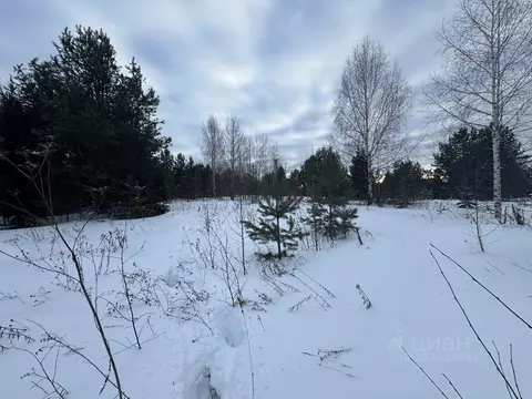 Участок в Пермский край, Пермский муниципальный округ, с. Усть-Качка ...