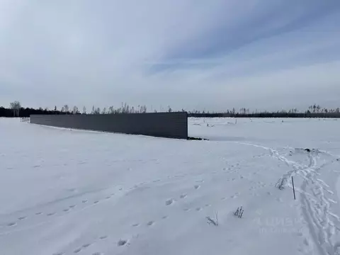 Участок в Воронежская область, Рамонский район, с. Ямное, Титимитино ...